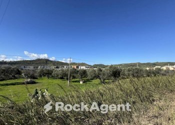 Terreno - Building land viale Magna Grecia, Catanzaro - photo 17