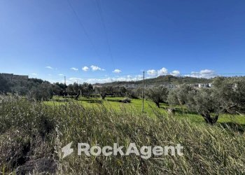 Terreno - Building land viale Magna Grecia, Catanzaro - photo 27