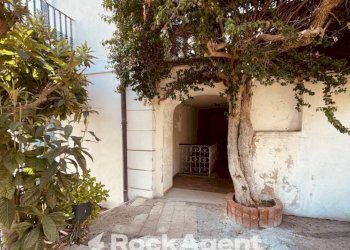 Giardino - Stabile - Palazzo corso Filangieri, 129, Vico Equense - foto 22