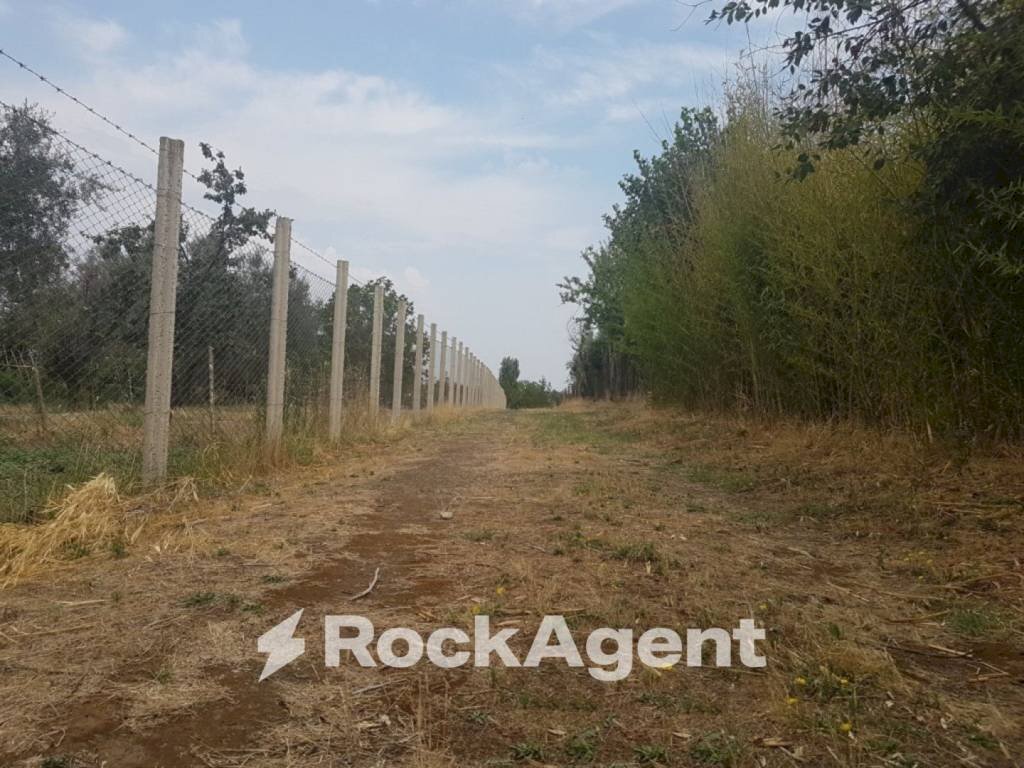 Terreno - Terreno agricolo via Sasso San Pellegrino, Viterbo - foto 1