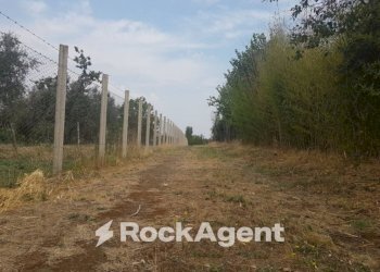 Terreno - Terreno agricolo via Sasso San Pellegrino, Viterbo - foto 1
