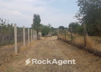 Terreno - Terreno agricolo via Sasso San Pellegrino, Viterbo - foto 5