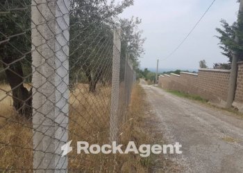 Terreno - Terreno agricolo via Sasso San Pellegrino, Viterbo - foto 6