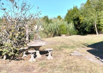 Terreno - Rustico Stradone del Pipistrello, 105, Rosignano Marittimo - foto 5