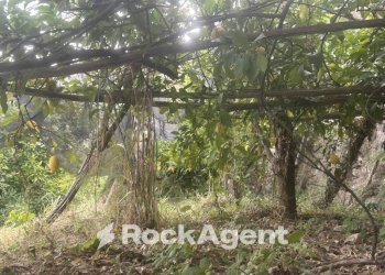 Terreno - Terreno agricolo via Torretta a Marmorata, Ravello - foto 21