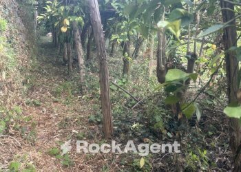 Terreno - Terreno agricolo via Torretta a Marmorata, Ravello - foto 23