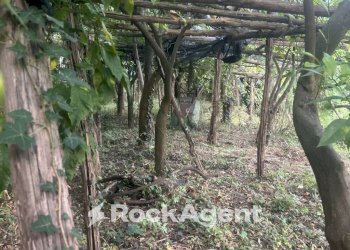 Terreno - Terreno agricolo via Torretta a Marmorata, Ravello - foto 24