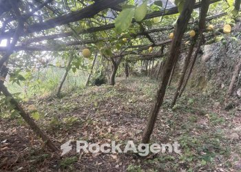 Terreno - Terreno agricolo via Torretta a Marmorata, Ravello - foto 26