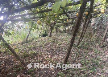 Terreno - Terreno agricolo via Torretta a Marmorata, Ravello - foto 27