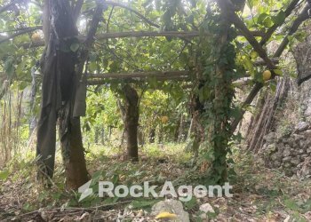 Terreno - Terreno agricolo via Torretta a Marmorata, Ravello - foto 28