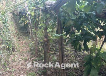 Terreno - Terreno agricolo via Torretta a Marmorata, Ravello - foto 30