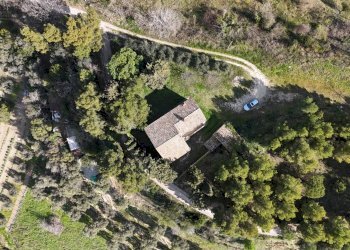 Foto 4 - Rustico C.da Fonte Pezzana
 
snc, Acquaviva Picena - foto 4