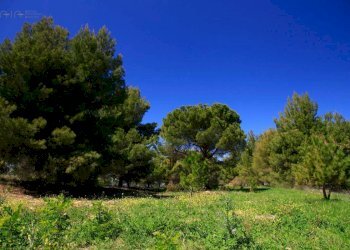 Foto 18 - Rustico C.da Fonte Pezzana
 
snc, Acquaviva Picena - foto 18