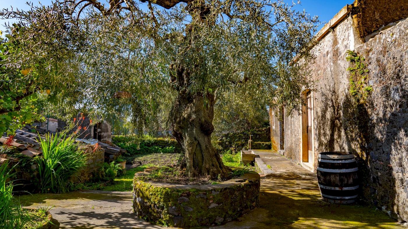 Giardino - Independent house via Vallone
 
33, Viagrande - photo 3