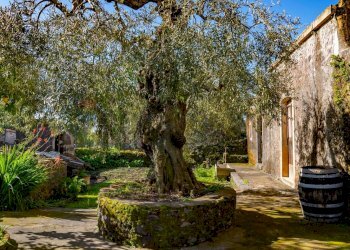 Giardino - Independent house via Vallone
 
33, Viagrande - photo 3