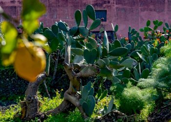 Dettagli - Independent house via Vallone
 
33, Viagrande - photo 7