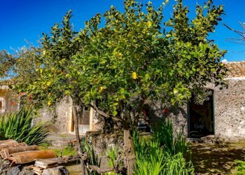 Giardino - Independent house via Vallone
 
33, Viagrande - photo 12