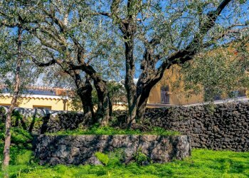 Giardino - Independent house via Vallone
 
33, Viagrande - photo 16