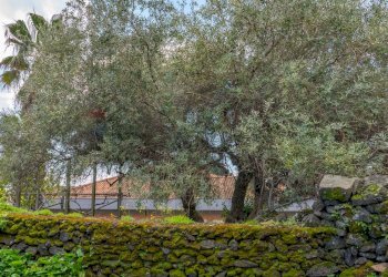 Giardino - Independent house via Vallone
 
33, Viagrande - photo 22