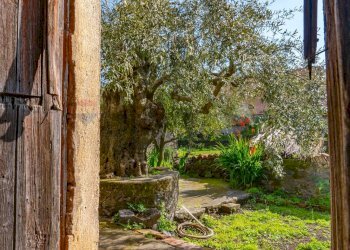 Giardino - Independent house via Vallone
 
33, Viagrande - photo 29