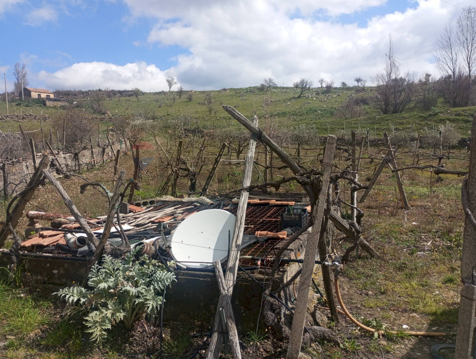 Vista delle montagne - Rustico Contrada Pignatone
 
SN, Randazzo - foto 2