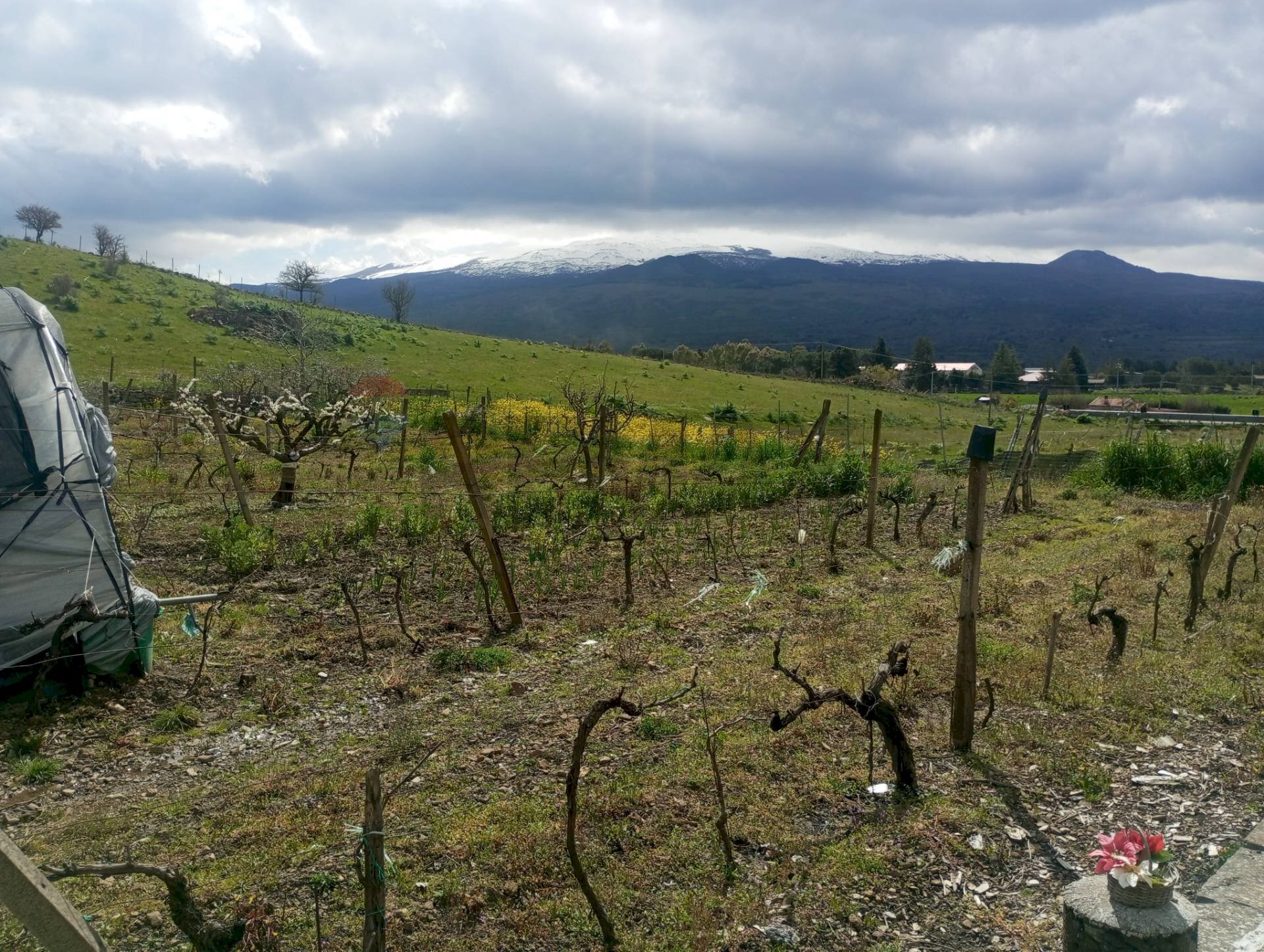 Vista delle montagne - Rustico Contrada Pignatone
 
SN, Randazzo - foto 3