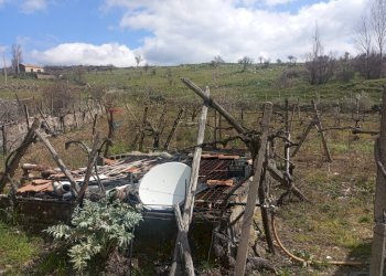 Vista delle montagne - Rustico Contrada Pignatone
 
SN, Randazzo - foto 2