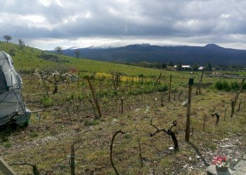 Vista delle montagne - Rustico Contrada Pignatone
 
SN, Randazzo - foto 3