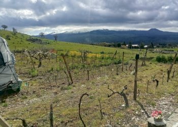Vista delle montagne - Rustico Contrada Pignatone
 
SN, Randazzo - foto 4