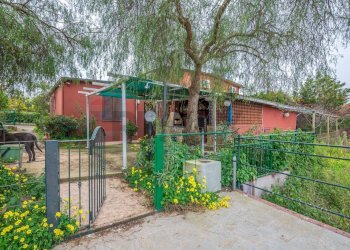 Foto 30 - Casa semi indipendente Via Commenda
 
1, Caltagirone - foto 30
