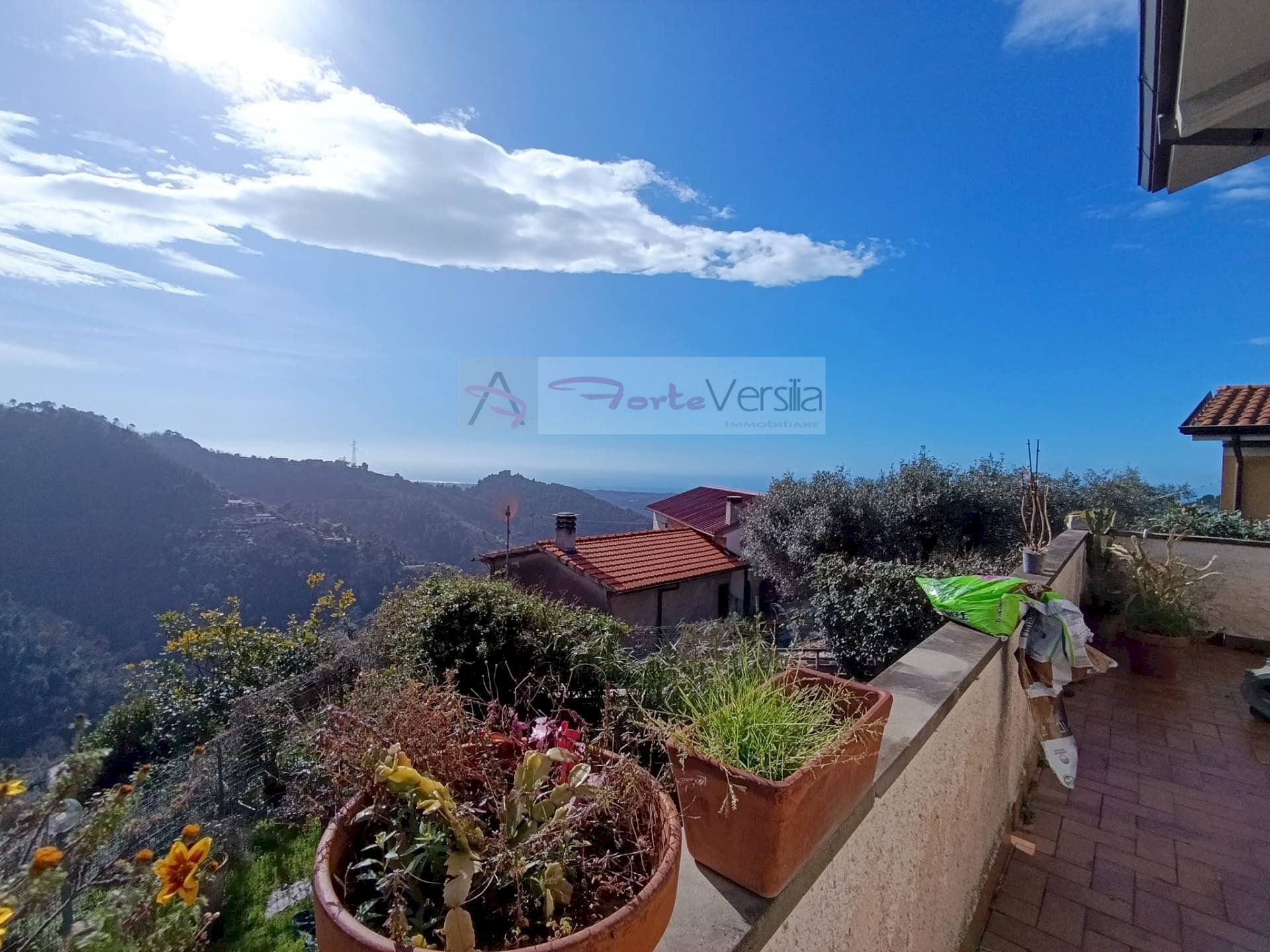 Foto 1 - Villa Montignoso - foto 1