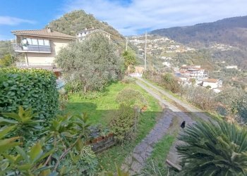 Foto 4 - Villa Montignoso - foto 4