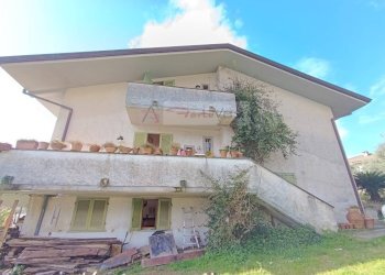 Foto 5 - Villa Montignoso - foto 5