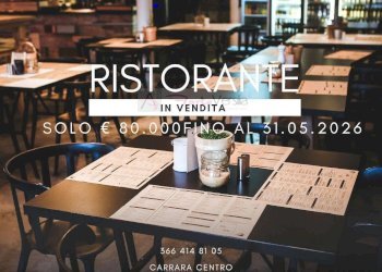 Foto 1 - Commercial Activity Carrara - photo 1