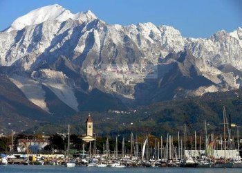 Foto 7 - Commercial Activity Carrara - photo 7