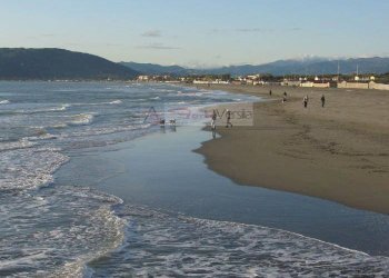 Foto 8 - Commercial Activity Carrara - photo 8