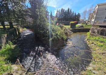 Giardino - Appartamento Via Molinaccio
 
12, Sesto Calende - foto 33