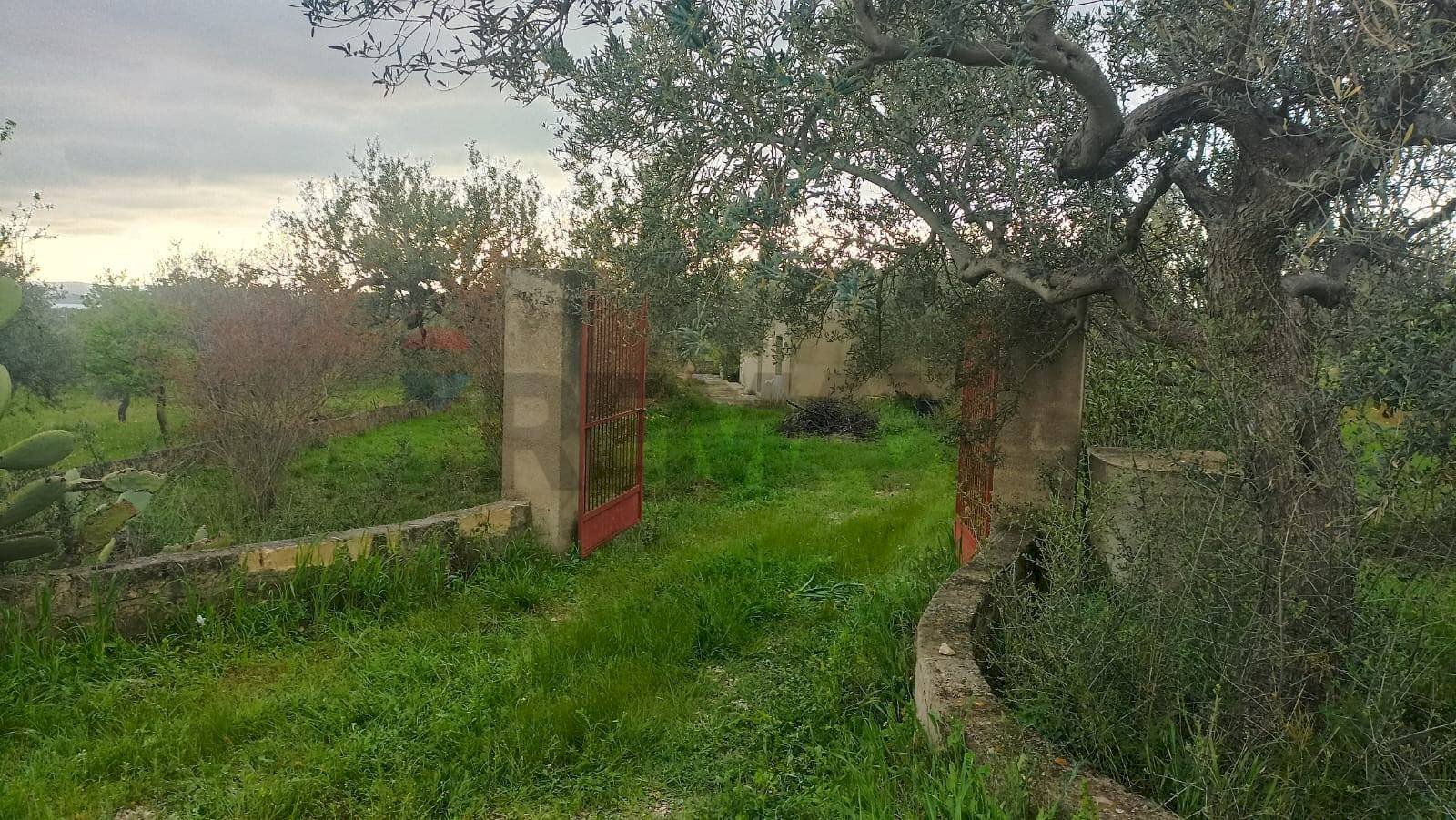 Giardino - Terreno agricolo c/da  cirito, Chiaramonte Gulfi - foto 1