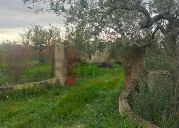 Giardino - Terreno agricolo c/da  cirito, Chiaramonte Gulfi - foto 1