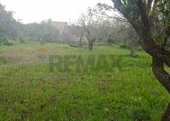 Giardino - Terreno agricolo c/da  cirito, Chiaramonte Gulfi - foto 2