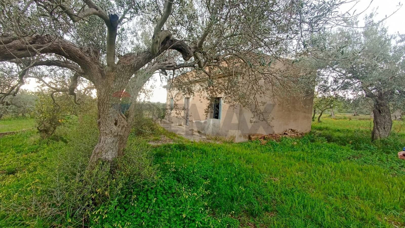 Giardino - Rustico c/da  cirito, Chiaramonte Gulfi - foto 1
