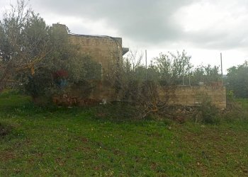 Giardino - Rustic c/da cirito, Chiaramonte Gulfi - photo 4