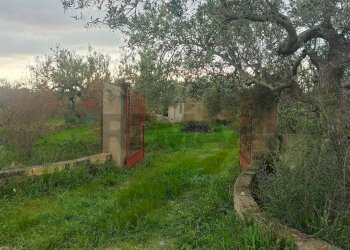 Giardino - Rustic c/da cirito, Chiaramonte Gulfi - photo 5