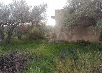 Non correlato - Rustic c/da cirito, Chiaramonte Gulfi - photo 6