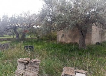 Giardino - Rustic c/da cirito, Chiaramonte Gulfi - photo 7