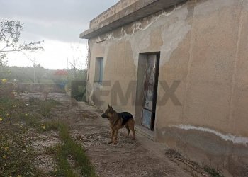 Casa all\'aperto - Rustic c/da cirito, Chiaramonte Gulfi - photo 15