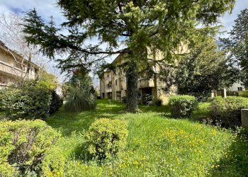 Giardino - Appartamento VIA FRUCH
 
19, Cervignano del Friuli - foto 23