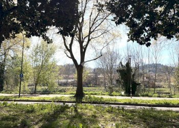 Two-room apartment Lungo Po Antonelli, Torino (neighborhood Vanchiglietta) - photo 25