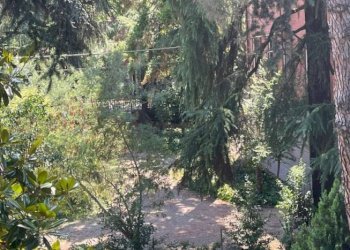 Terreno non edificabile Bologna - foto 12