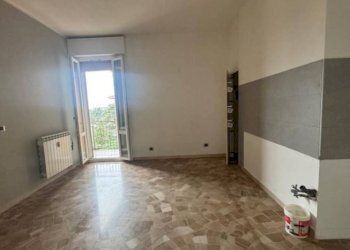 Trilocale Bologna - foto 1